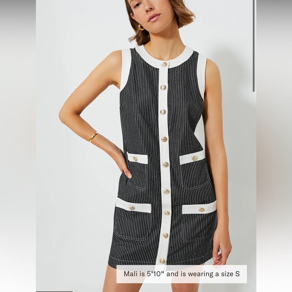 POMANDER PLACE

Black Stripe Voileta Dress - Picture 2 of 11